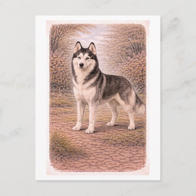Postal Husky siberiano de estilo vintage (Anverso)