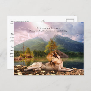 Postal Husky siberiano en Lakeshore en otoño - Colectivo