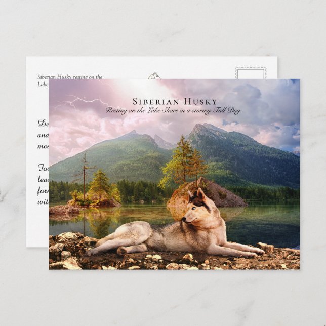 Postal Husky siberiano en Lakeshore en otoño - Colectivo (Anverso / Reverso)