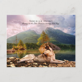 Postal Husky siberiano en Lakeshore en otoño - Colectivo