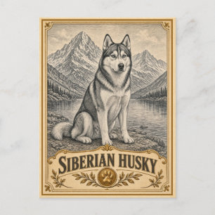 Postal Husky Siberiano, perro de herencia vintage