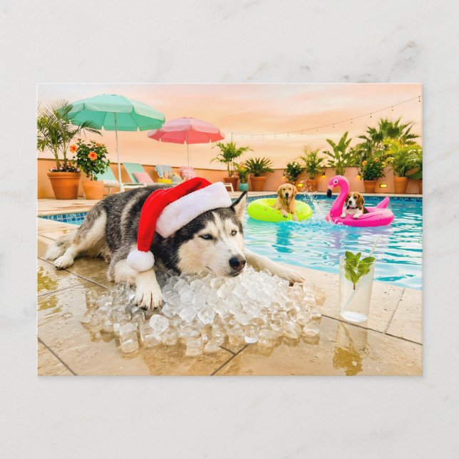 Postal Husky sobre rocas en Navidad (Anverso)