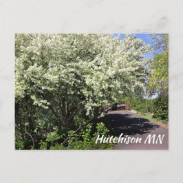 Postal Hutchinson MN Parque Memorial de los Vetera