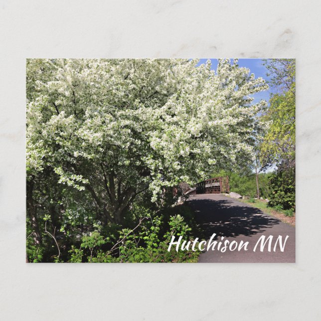 Postal Hutchinson MN Parque Memorial de los Vetera (Anverso)