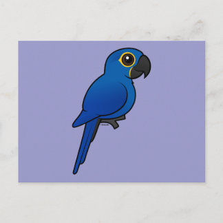 Postal Hyacinth Macaw