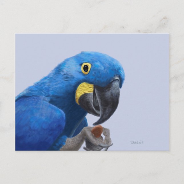 Postal Hyacinth Macaw (Anverso)