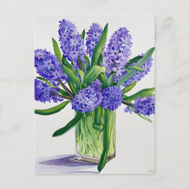 Postal Hyacintos azules (Anverso)