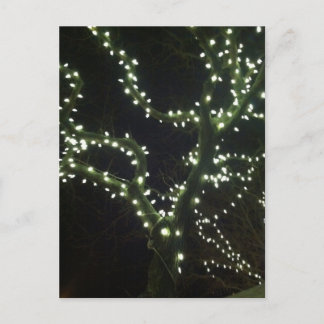 Postal Hyannis Lights Postcard