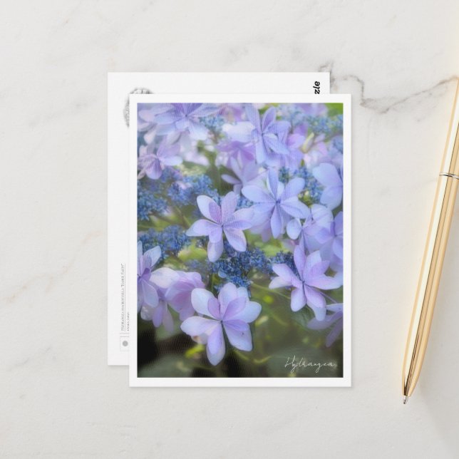 Postal Hydrangea (Anverso/Reverso In Situ)