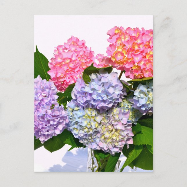 Postal Hydrangea Bouquet (Anverso)