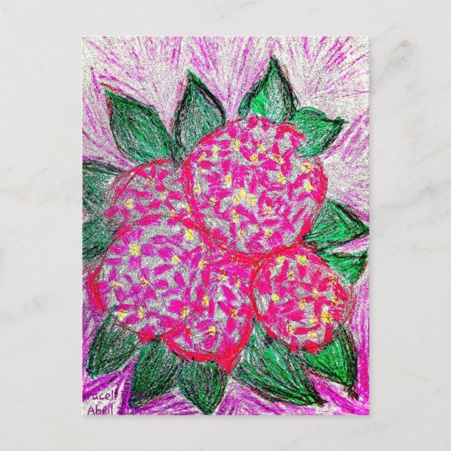 Postal Hydrangea macrophylla (Anverso)