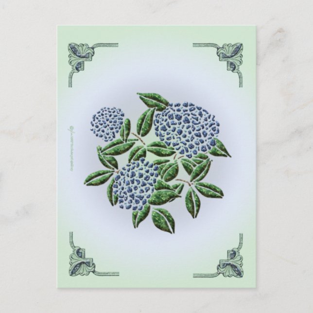 Postal Hydrangea Postcard (Anverso)