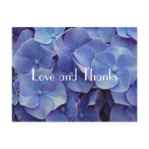Hydrangea Purple Gracias Postcard