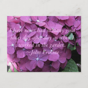 Postal Hydrangea y cita de jardinería
