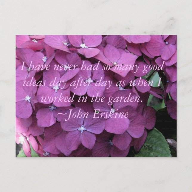Postal Hydrangea y cita de jardinería (Anverso)