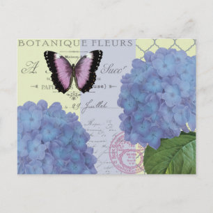Postal hydrangea y mariposa modernos del vintage