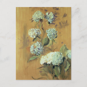 Postal Hydrangeas