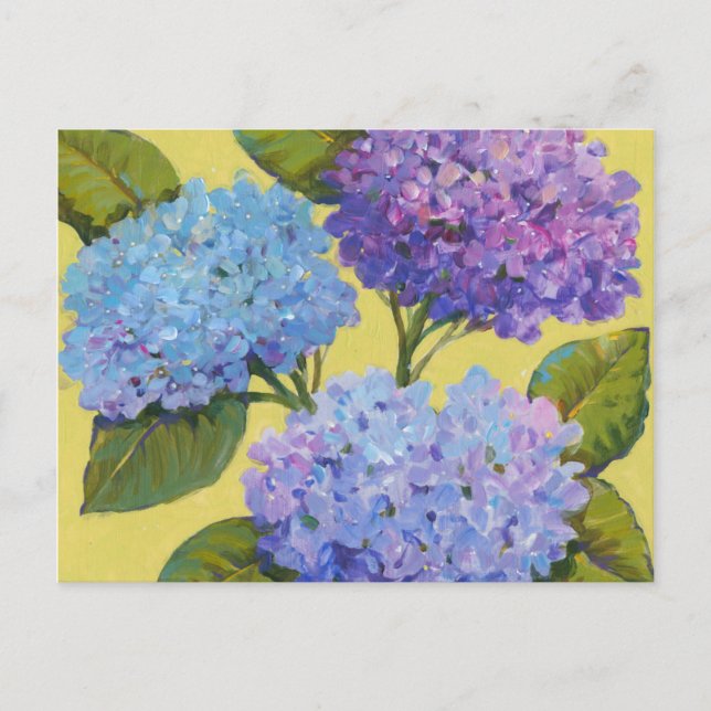 Postal Hydrangeas de primavera (Anverso)