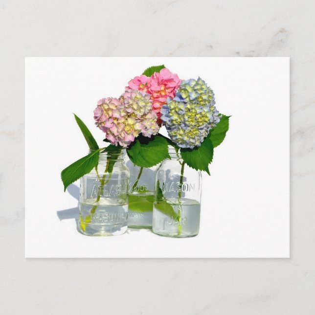 Postal Hydrangeas y Mason jar (Anverso)
