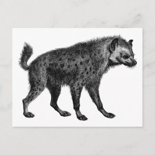 Postal Hyena