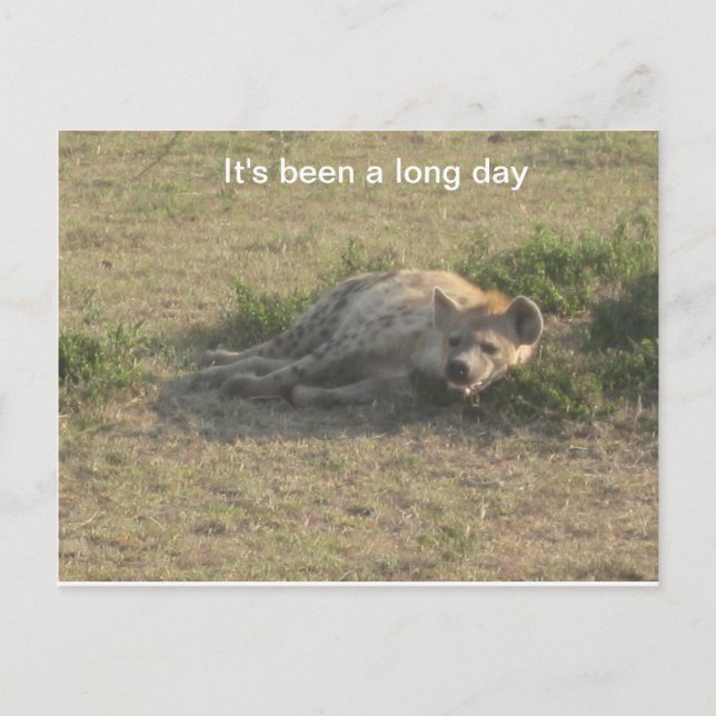 Postal Hyena africana (Anverso)