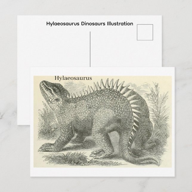 Postal Hylaeosaurus  Dinosaurs  Illustration (Anverso / Reverso)