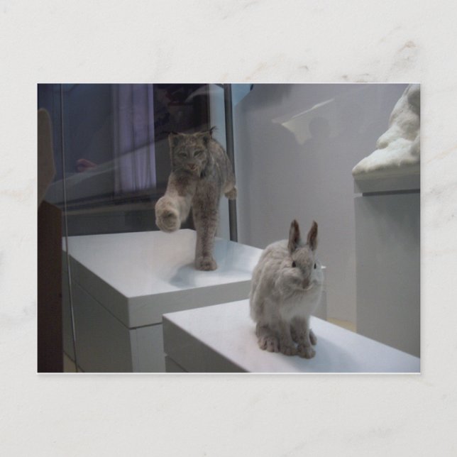 Postal Hyper Lynx se ejecuta (a)cruzada (Anverso)