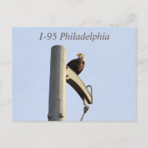 Postal I-95 Philadelphia Bald Eagle