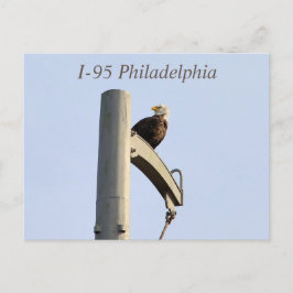 Postal I-95 Philadelphia Bald Eagle