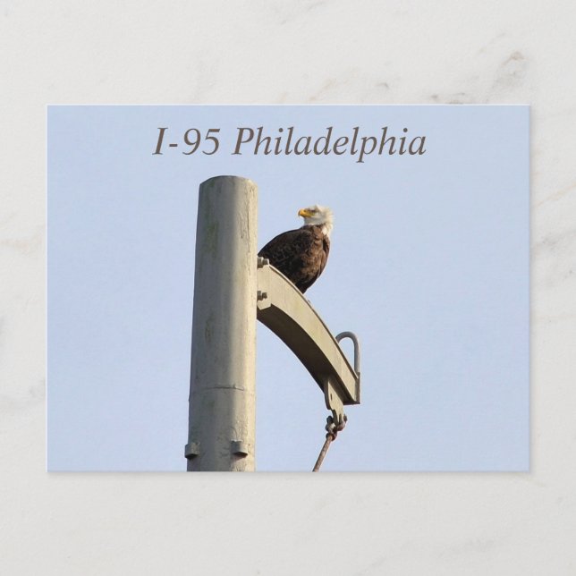 Postal I-95 Philadelphia Bald Eagle (Anverso)