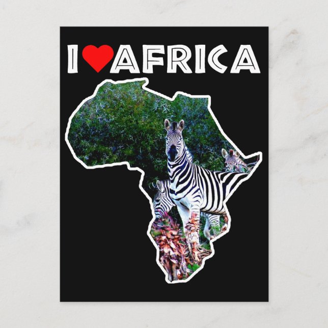Postal I Heart Africa Zebra Aloe (Anverso)