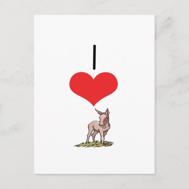 Postal I Heart (Love) Donkeys (Anverso)
