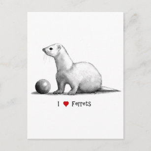 Postal I Love (Heart Ferrets): Dibujo de lápiz