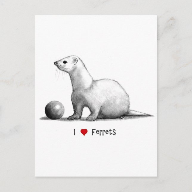 Postal I Love (Heart Ferrets): Dibujo de lápiz (Anverso)