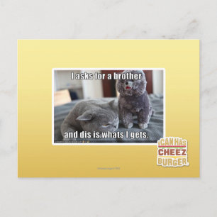 Postal I pide un hermano