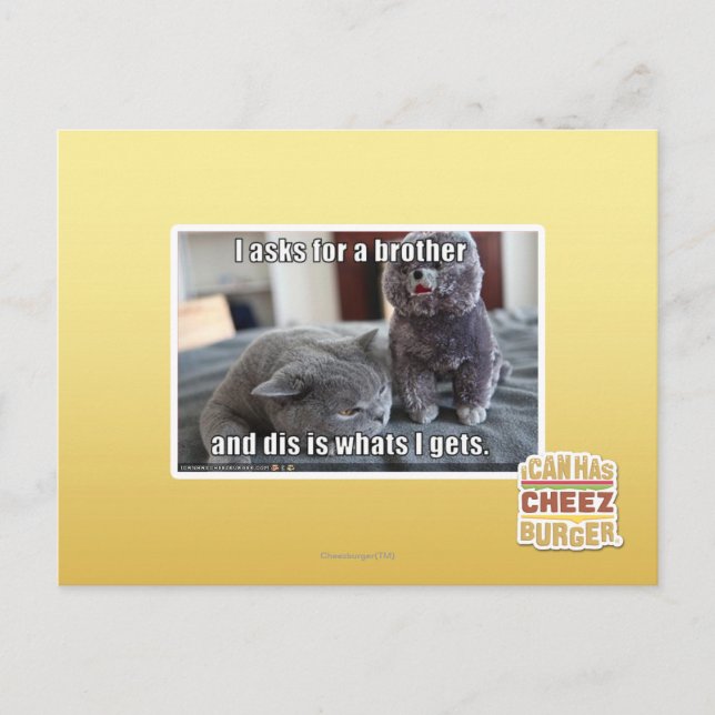 Postal I pide un hermano (Anverso)