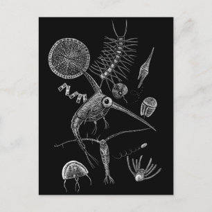 Postal I + Postcard PLANKToN