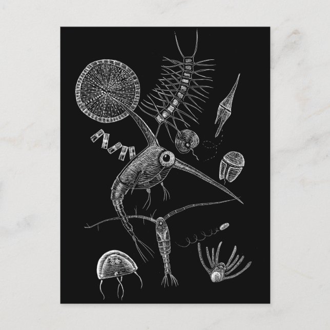 Postal I + Postcard PLANKToN (Anverso)