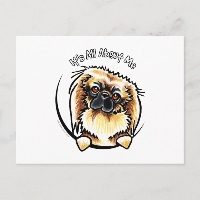 Postal IAM de Pekingese (Anverso)