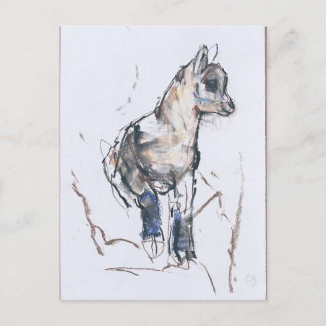 Postal Ibex Kid (Anverso)