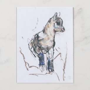 Postal Ibex Kid