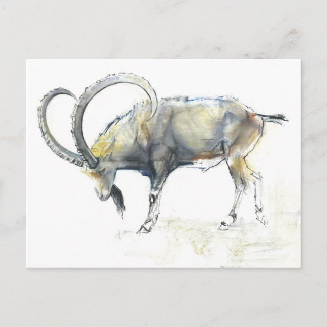Postal Ibex nubio 2008 (Anverso)
