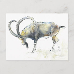Postal Ibex nubio 2008