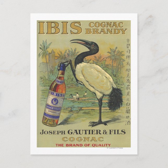 Postal Ibis Cognac - Joseph Gautier & Fils Promo (Anverso)