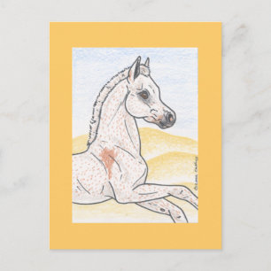 Postal Ibn Shai Hulud