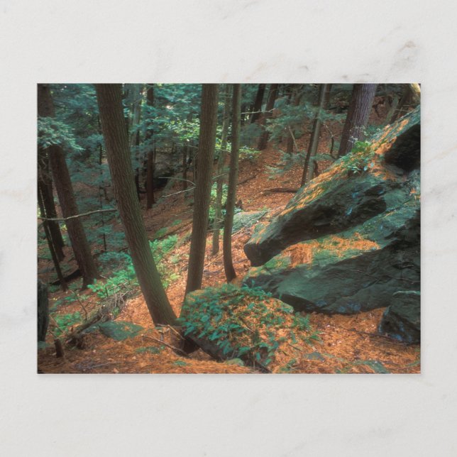 Postal Ice Glen Ravine (Anverso)