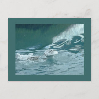 Postal "Iceberg Mushroom Delight"