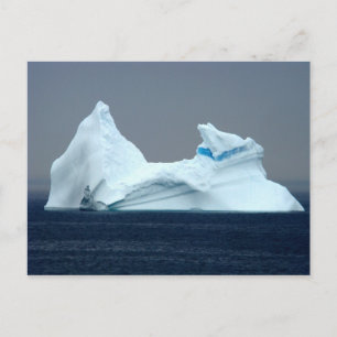 Postal Icebergs de Terranova