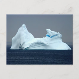 Postal Icebergs de Terranova