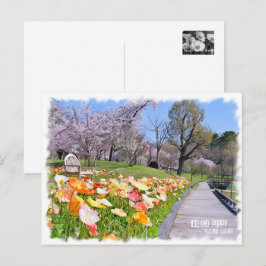 Postal Iceland Poppy × Yoshino Cherry